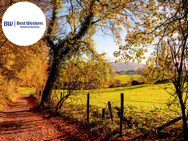 2 dagen fietsen en wandelen in een 4-sterrenhotel nabij Valkenburg
