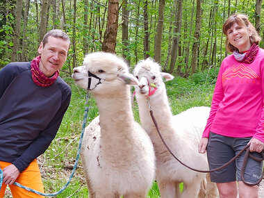 Rendezvous mit Alpakas: Spaziergang und Picknick für 2 in Waldenbuch