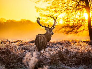 2 heerlijke dagen op de Veluwe met diner