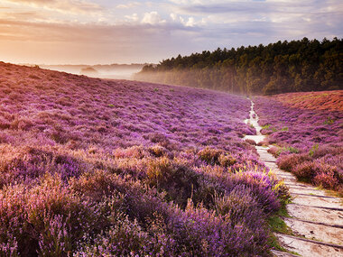2 ontspannen dagen op de Veluwe