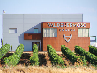 Bodega Valdehermoso, en Valladolid: visita a bodega y cata de vinos