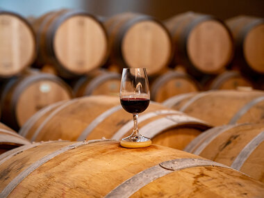 Bodega 41 Norte: visita y cata de vino para 2 personas