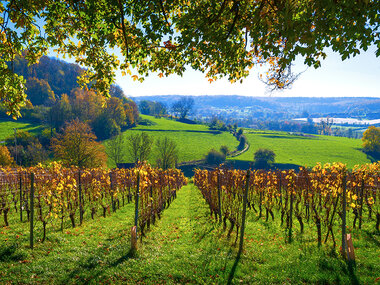 Séjour de 2 jours en hôtel 4* au Limbourg