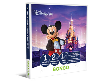 Disneyland® Paris pour 2 adultes : 1 parc et 1 nuit en hôtel à proximité