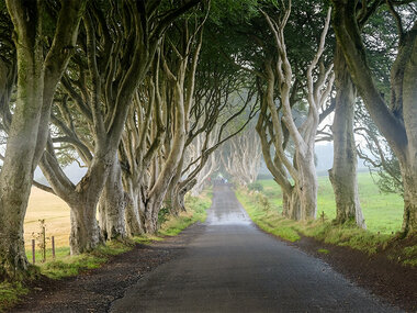 3 nuits à Dublin avec visite guidée des lieux emblématiques de Game of Thrones®