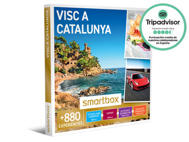 Visc a Catalunya