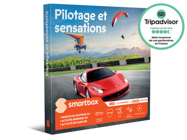 Pilotage et sensations