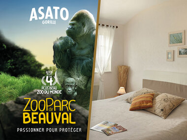 Séjour en famille au ZooParc de Beauval en 2026 : 2 journées et 1 nuit à proximité pour 3 personnes