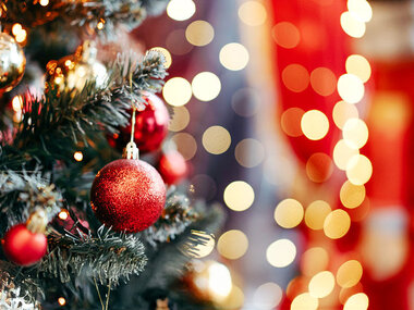 Surprise de Noël pour vous : dégustation, bien-être ou aventure