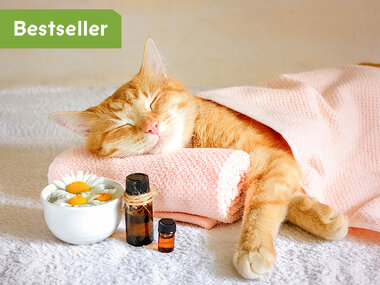 Jouw toegangspoort tot ontspanning en welzijn