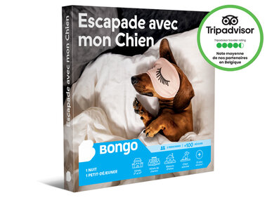 Escapade avec mon Chien