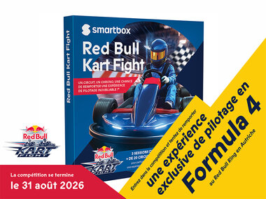 Red Bull Kart Fight