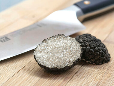 Chasse à la truffe et atelier cuisine en Dordogne