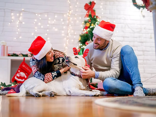 Regali economici natale, Pensieri di natale - Box Puglia