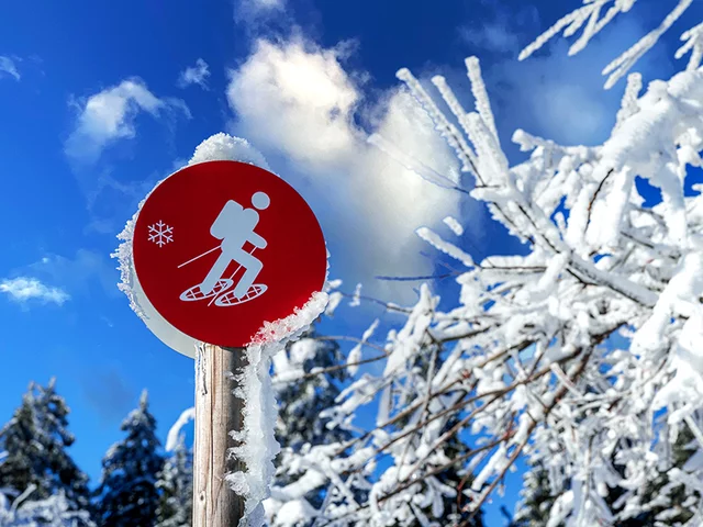 Randonnée en Raquettes à Neige - Forêt Noire en Allemagne