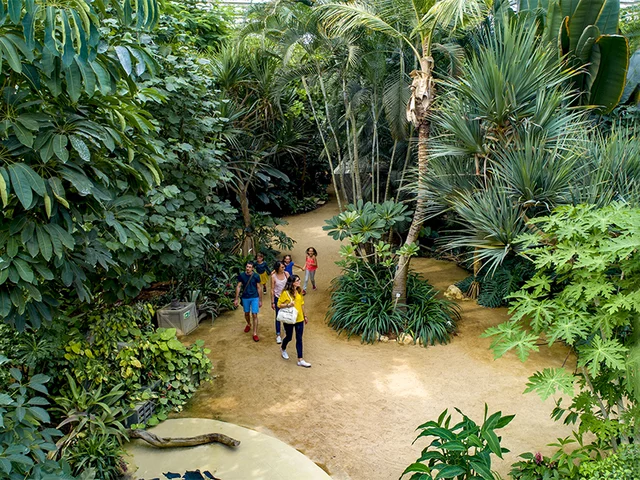 Coffret Jardin Botanique