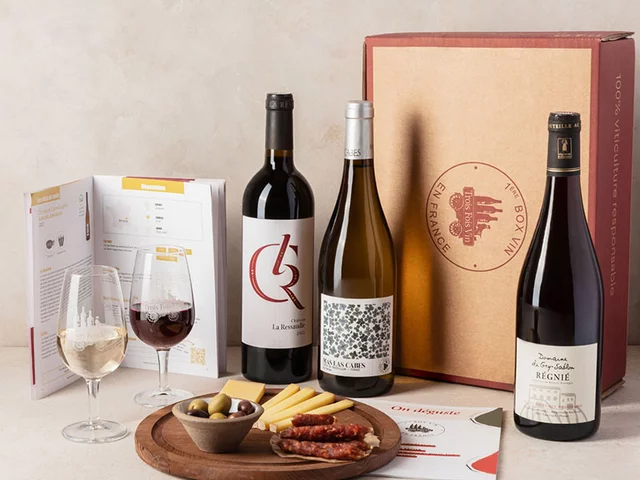 Smartbox Coffret Pépites de vignerons : 3 grands vins et livret de  dégustation - Coffret Cadeau Gastronomie