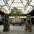 Crespi Bonsai Museum