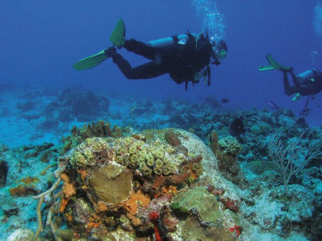 Plongee Joyeux Anniversaire Multi Themes