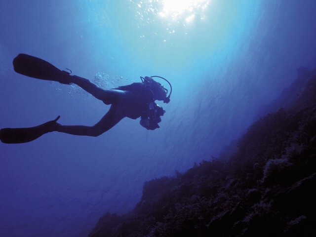 Excursion En Mer Joyeux Anniversaire Multi Activites