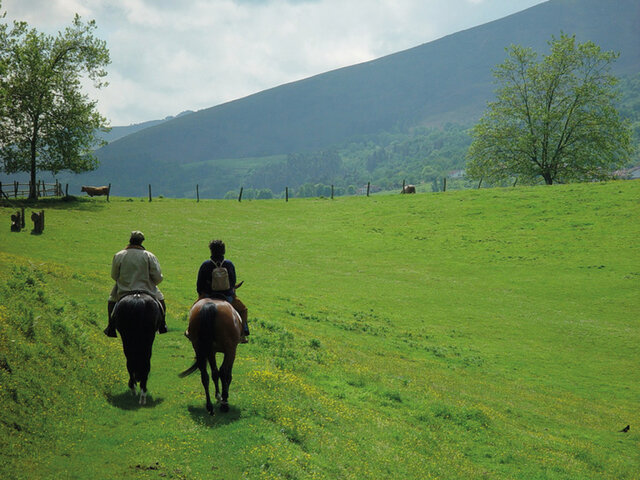 Balade A Cheval Joyeux Anniversaire Multi Activites