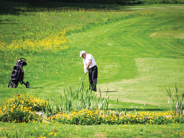 Golf Joyeux Anniversaire Multi Themes Golf Joyeux Anniversaire Multi Themes
