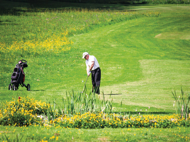 Golf Joyeux Anniversaire Multi Themes