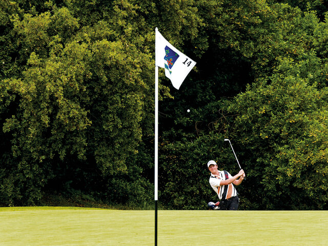 Golf Joyeux Anniversaire Exception Multi Themes Golf Joyeux Anniversaire Exception Multi Themes