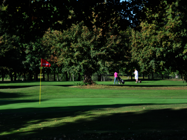 Golf Joyeux Anniversaire Multi Themes Golf Joyeux Anniversaire Multi Themes