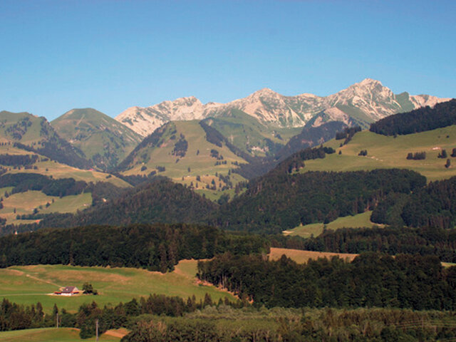 B B La Pinte De Lys Joyeux Anniversaire Multi Thematique