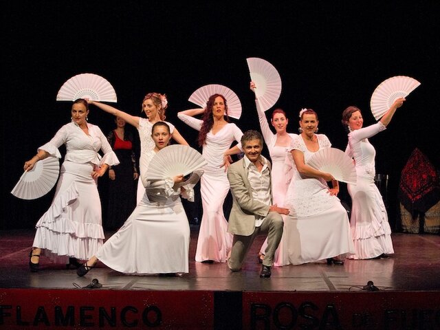 Cours De Flamenco Joyeux Anniversaire Multi Thematique